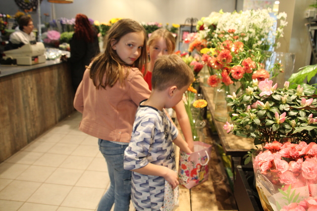 IMG 7784