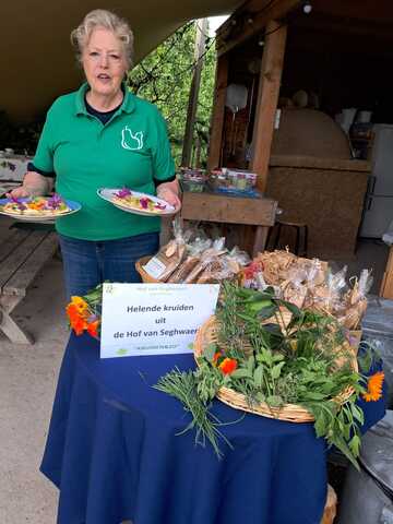 Verschillende kruiden uitgestald op een tafel met een vrijwilliger ernaast en een bordje erbij waarop staat Helende kruiden uit de Hof van Seghwaert