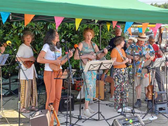 Sweet Lake Ukes in de Hof foto