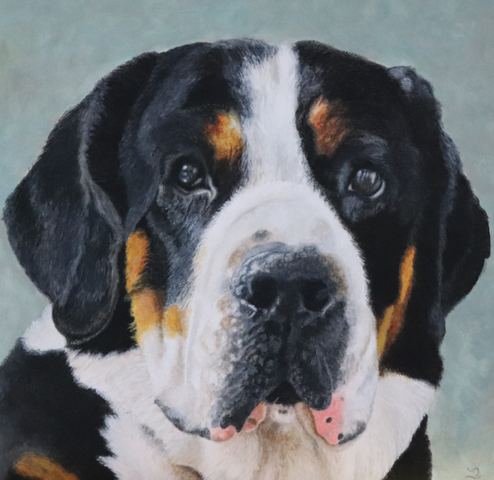hond2