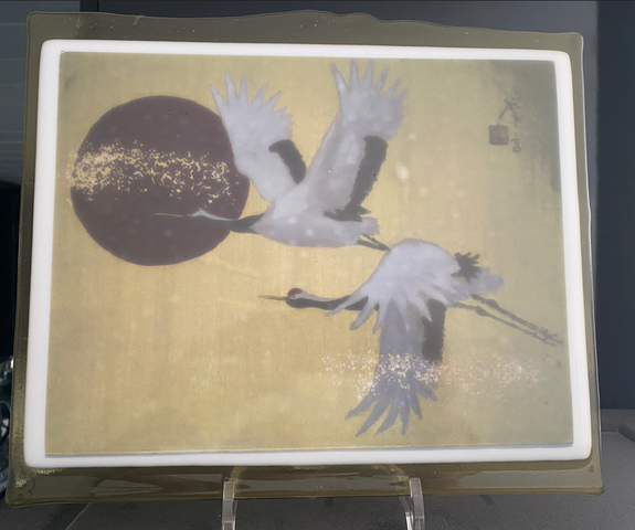 kraanvogel ans kn
