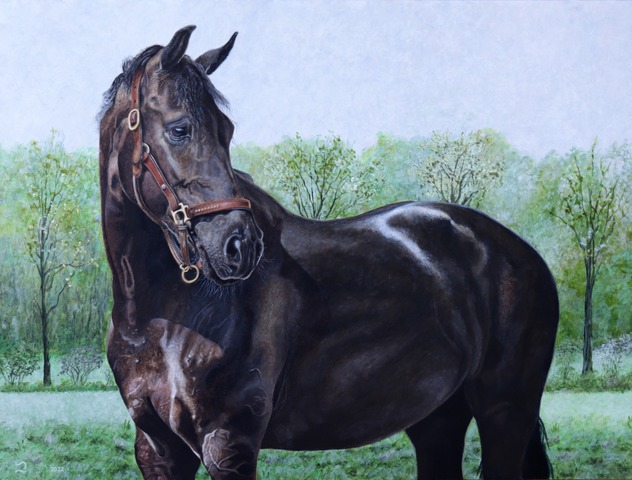 paard
