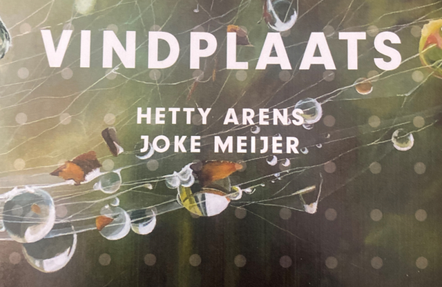 vindplaats2 copy