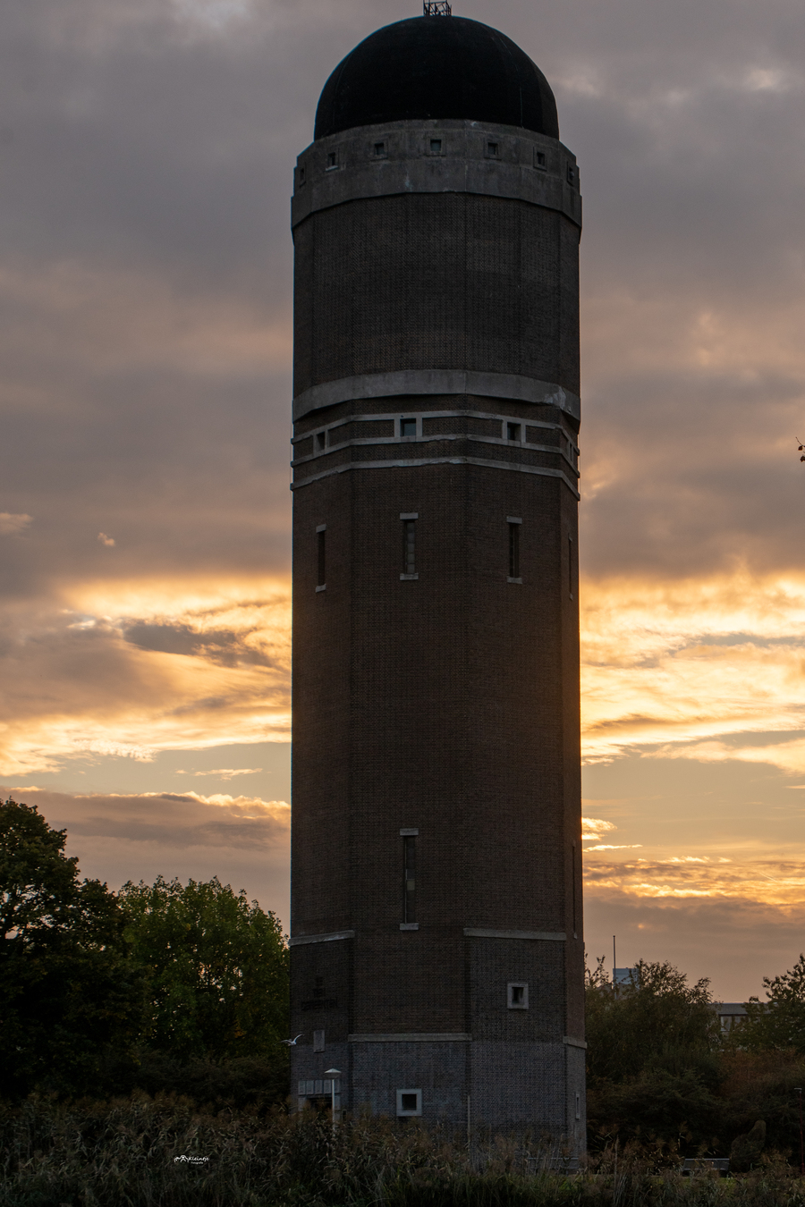 okt26 R Veeninga Regenboogsingel