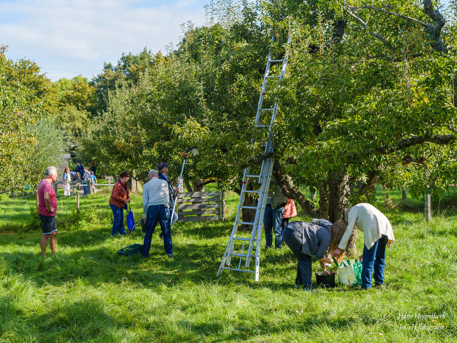 Zoet op zaterdag 12 9 26 3 H Heemskerk