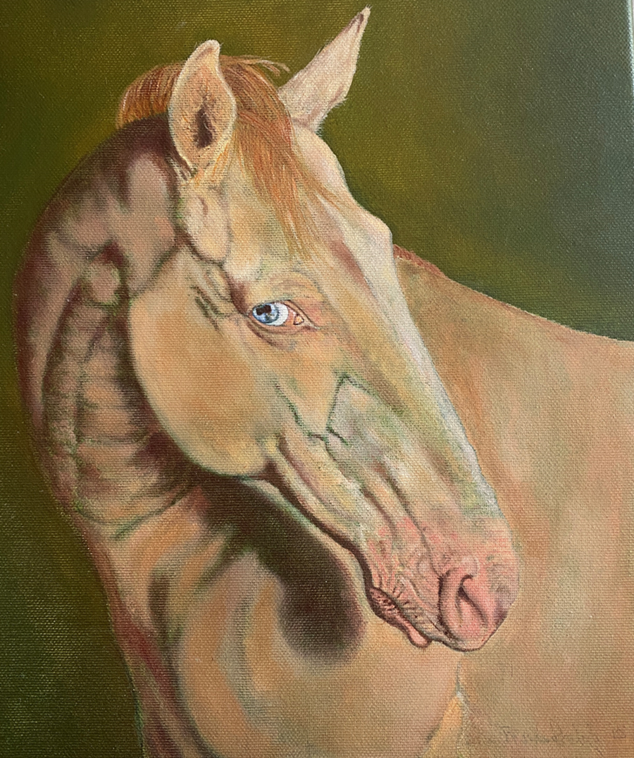 portret frans3