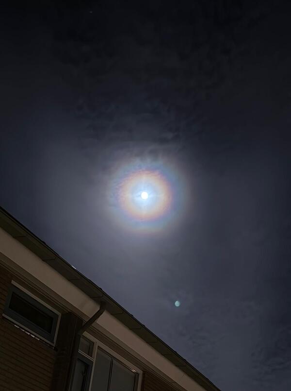 halo maan Marja de Laaf