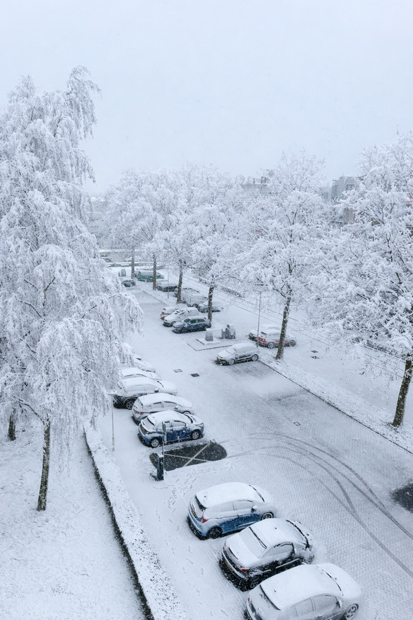 Deze afbeelding heeft helaas geen alternatieve tekst.