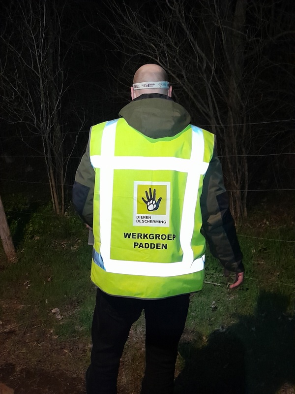 WDD Roel 3 2023 copy