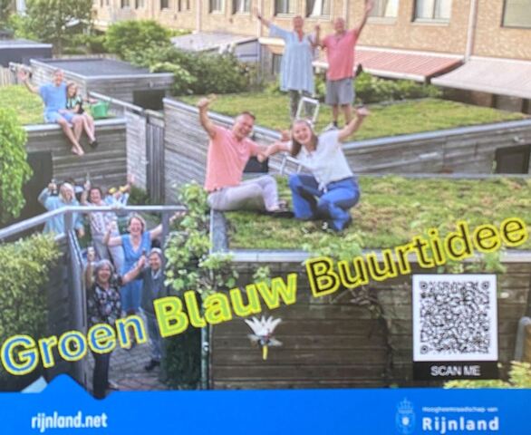 groenblauw idee copy