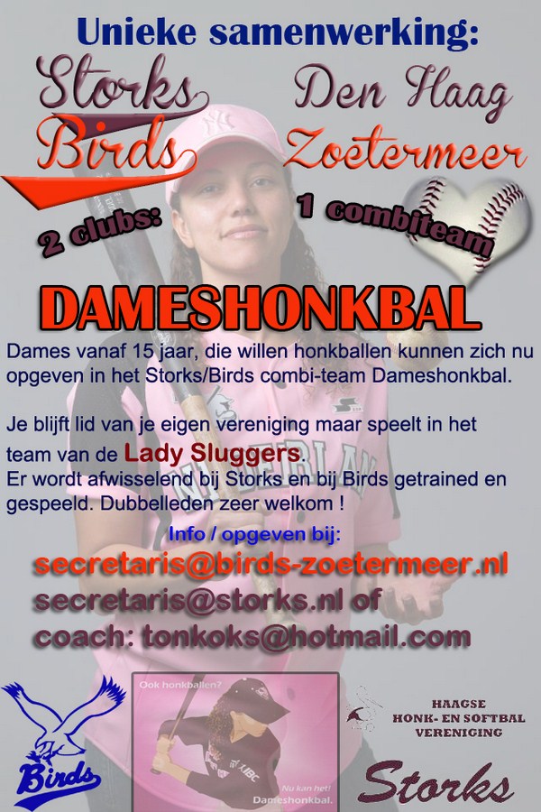 dameshonkbal