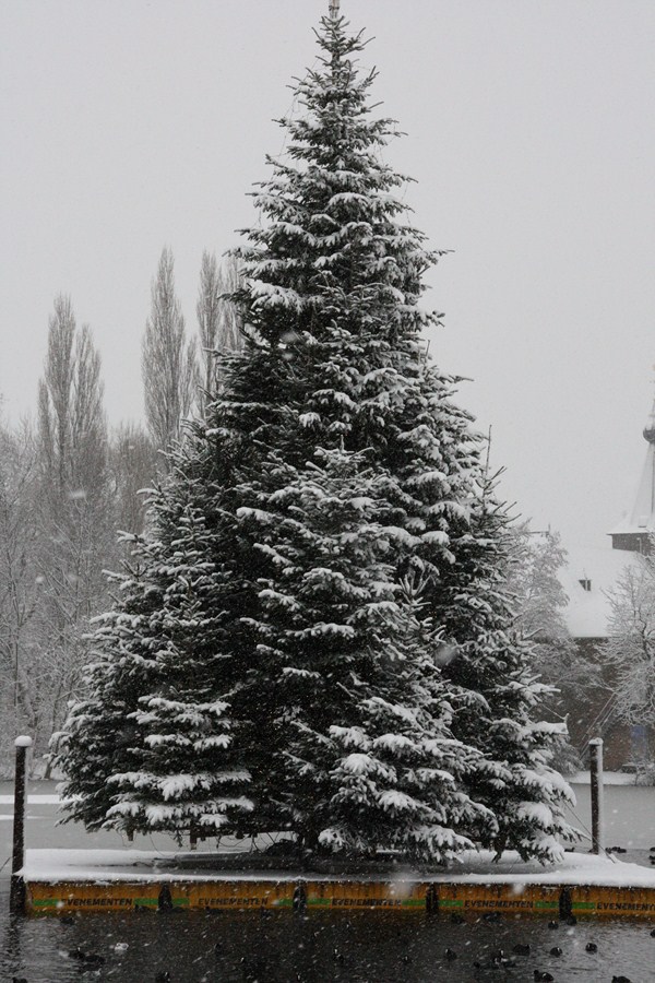 stadskerstboom