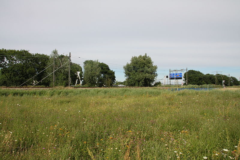 Station Bleizo 2010