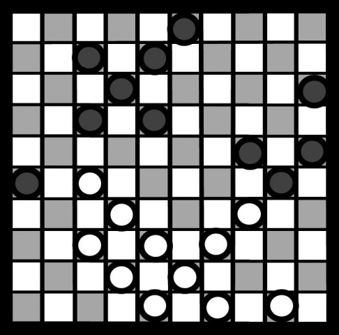 64.3 Muijen 3