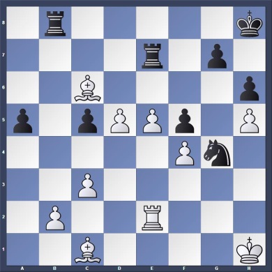 dammen22