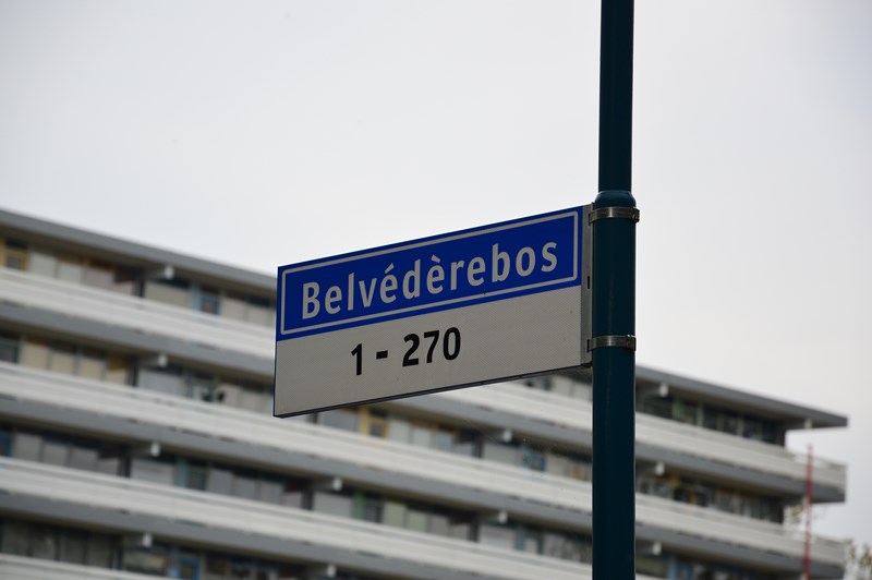 belvederebos