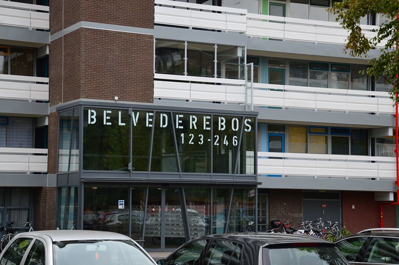 belvederebos2