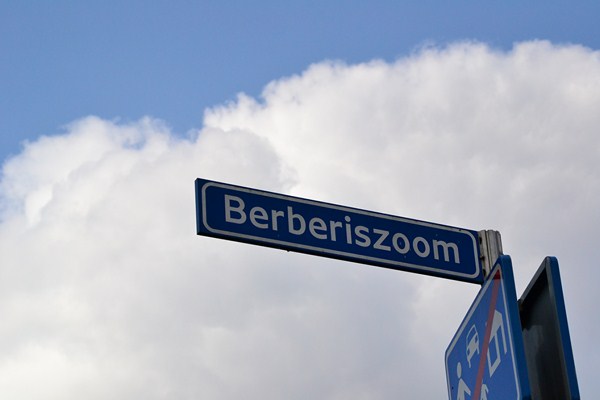 berberiszoom3