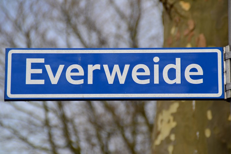 everweide 1