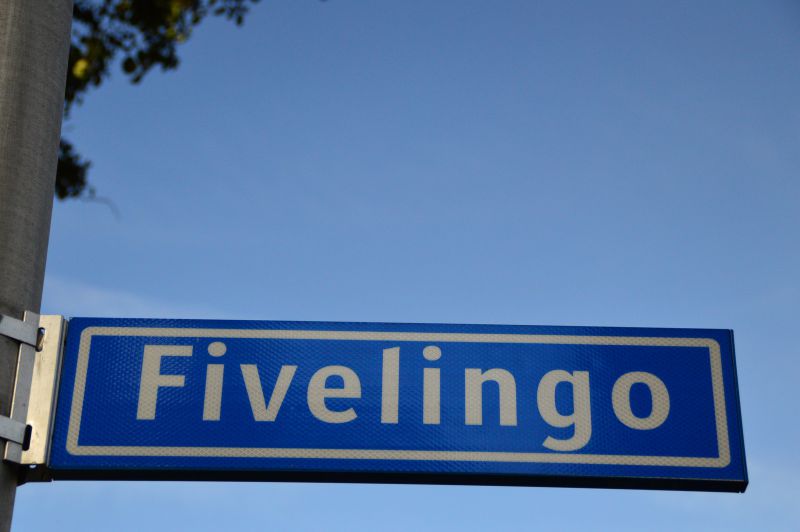 fivelingo 3