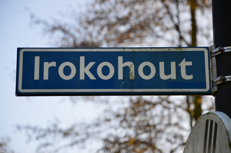 irokohout 2