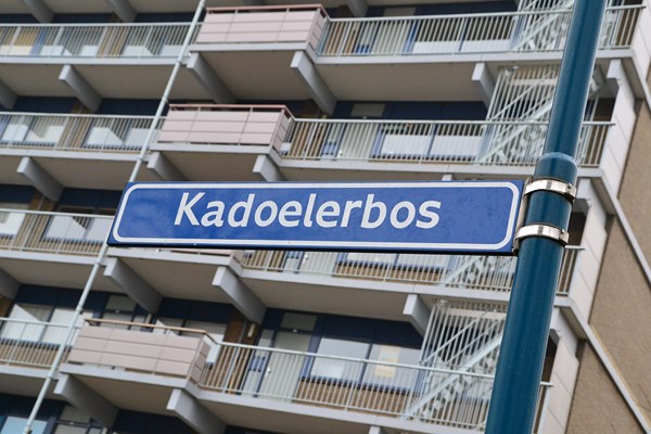 kadoelerbos