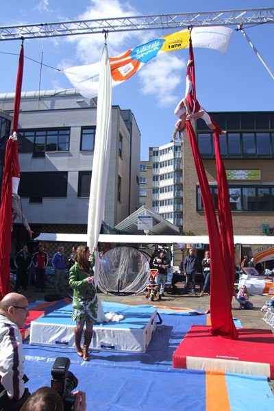 2013 0419035