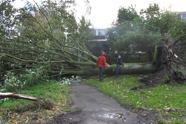 storm- rob verbunt