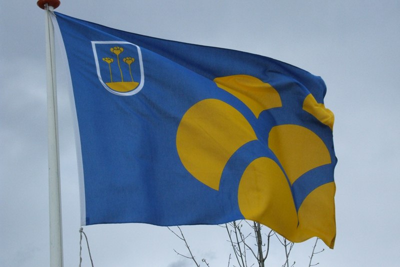 vlag-zmeer