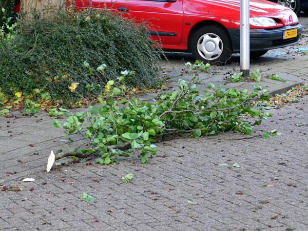 stormschade