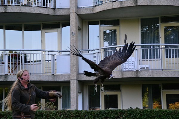 historisch-festival-vogeslhow