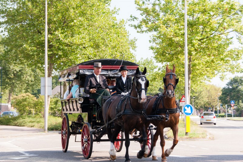 Wilsveen-00007 20140723 Op volle snelheid