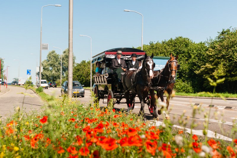 Wilsveen-04914 20140723 Op de Zwaardslootseweg