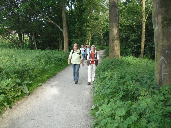 Wandelen